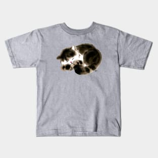 Fluffy sleeping cat Kids T-Shirt